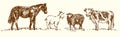 Farm animal collection, horse, goat, sheep, cow standing on meadow, hand drawn doodle, sketch in pop art style, vector
