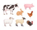 Farm animal colorful set. Domestic livestock cow, pig, rabbit, turkey, chicken, sheep, lamb Royalty Free Stock Photo