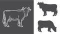 Farm animal. Cow sketch. Hand drawn. Vintage style. Vector illustration. Set of cows. Black silhouette of a cow isolated on white Royalty Free Stock Photo