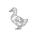 Farm animal duck line icon design. Duck illustration. Domestic animal icon vector editable stroke. Duck line icon.