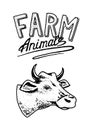 Farm animal. Head of a domestic cow taurus bull. Logo or emblem for signboard. icon for the menu. Label for natural