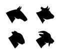 Farm animal head set. Horse, Goat, Sheep, Bull head silhouettes. Farm animal black icons isolated on white background. Royalty Free Stock Photo