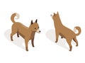 Farm animal isometric. Domestic animal in 3d flat back and front view. Cute game character of dog. Vector icon