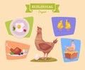 Farm animal and products made out of them. Chiken