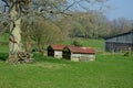 Farm animal shelter on a smallholding in countryside Royalty Free Stock Photo