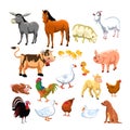 Farm animals