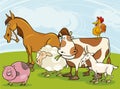 Farm animals Royalty Free Stock Photo