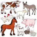 Farm animals. Royalty Free Stock Photo