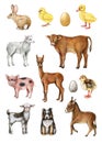 Farm animals and birds hand drawn illustration vintage style set. Cow, pig, sheep, goat, chicken, duck farm domestic Royalty Free Stock Photo