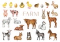 Farm animals and birds hand drawn set. Cow, pig, sheep, goat, chicken, duck, rabbit farm domestic animals big collection Royalty Free Stock Photo
