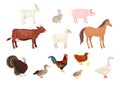 Farm animals and birds set isolated on white background. Vector illustration Royalty Free Stock Photo