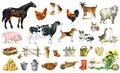 Farm animals and Birds watercolor collection. Livestock cartoon animal illustration