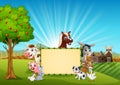 Farm animals with a blank sign bamboo tied in hills Royalty Free Stock Photo