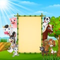 Farm animals with a blank sign tied bamboo Royalty Free Stock Photo