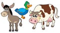 Farm animals collection 3 Royalty Free Stock Photo