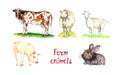 Farm animals collection, Red cow, white sheep, goat, pig and rabbit, hand painted watercolor illustration design element Royalty Free Stock Photo