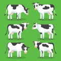 Farm animals cows isolated on green background. Set of white and black cows in flat style, for logo and web design. Farm