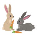 Farm animals. Cute rabbits with carrots.