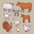 Farm animals detailed icon set, cartoon style