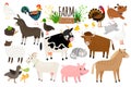 Farm animals. Domestic farm animal collection isolated on white, goose and donkey, pig and goat, cow and sheep vector Royalty Free Stock Photo