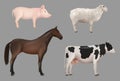 Farm animals. Domestic cow with milk pig horse sheep decent vector realistic animals collection