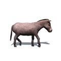 Farm animals - donkey - isolated on white background Royalty Free Stock Photo