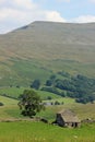 Farm animals field barn tree Mallerstang Cumbria Royalty Free Stock Photo