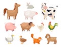 Farm animals. Funny cartoon domestic birds, rural life, cute comic characters, horse and geese, chicken and duck, cow