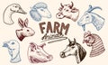 Farm animals. Head of a domestic horse pig goat cow alpaca llama rabbit sheep. Logos or emblems for signboard. Set of Royalty Free Stock Photo