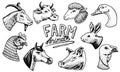 Farm animals. Head of a domestic horse pig goat cow alpaca llama rabbit sheep. Logos or emblems for signboard. Set of