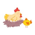 Farm animals hen in nest chicken cartoon