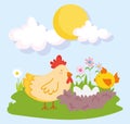 Farm animals hen with nest chicken and eggs flowers cartoon