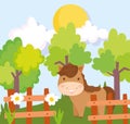 Farm animals horse wooden fence flowers trees