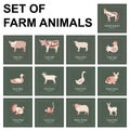 Farm animals icon set. Royalty Free Stock Photo