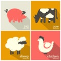 Farm animals icon. Sheep, cow, pig, chicken icons