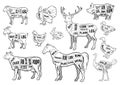 Farm animals icons set. Collection of labels with beautiful such as goat chicken pig boar duck goose horse cow Turkey