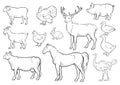 Farm animals icons set. Collection of labels with beautiful such as goat chicken pig boar duck goose horse cow Turkey Royalty Free Stock Photo