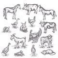 Farm animals illustration Hand drawn set vintage sketches of cow, goat, donkey and duck Isolated on white