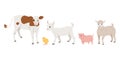 Farm animals kids. Calf, pig, lamb, kid and chicken. Vector flat illustration Royalty Free Stock Photo