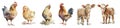 Farm animals. Watercolor clipart. Generative AI. Royalty Free Stock Photo