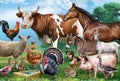 Pets, farm animals