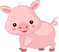 Farm animals. Pig