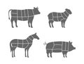 Farm animals scheme cuts. Pig, Horse, Sheep, Cow cuts of meats. Meat cut diagram illustration isolated on white Royalty Free Stock Photo