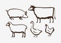 Farm animals set. Farming, husbandry vector illustration Royalty Free Stock Photo