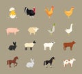 Farm animals set in flat style Royalty Free Stock Photo