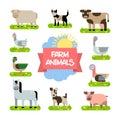 Farm Animals Set. Illustration in Flat Design. Royalty Free Stock Photo