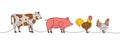 Farm animals set one line colored continuous drawing. Pig, Cow, Chicken, Rooster silhouettes. Farm animals continuous Royalty Free Stock Photo