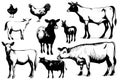 Farm animals. Set of vector sketches on a white background.