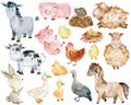 Farm Animals Set