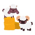 Farm animals sheep and goat stack of hay cartoon